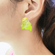 Load image into Gallery viewer, Feather Rock Earrings (Large)
